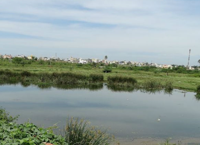 Bogadhi Lake, Mysuru (Mysore), Karnataka - Vushii.com Bogadhi Lake, Mysuru (Mysore), Karnataka - Vushii.com